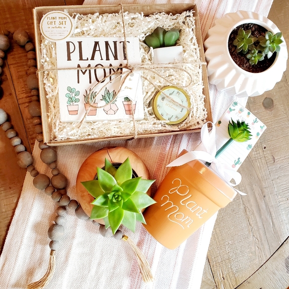 Eccolo 'Plant Mom' 6 Pc Succulent Gift Set - Picture 1 of 5
